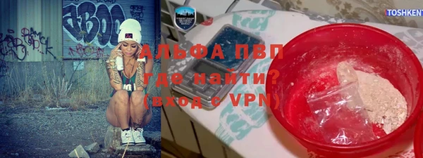 стаф Алексин